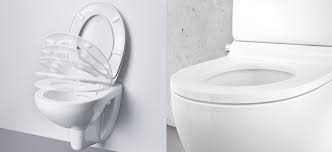 Best Grohe Toilet Seat Toilet Bowl And