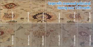 carpet cleaning in sheridan and buffalo