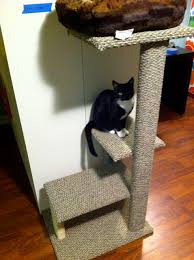 diy cat tower cat condo
