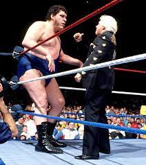 WWF Old School - Do you remember André The Giant's babyface turn from  WrestleMania 6? 🐾 🐾 🐾 🐾 🐾 🐾 🐾 🐾 🐾 🐾 | Facebook