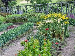 how to plan and grow a cutting garden