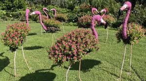 Suntory Flowers Flamingo Topiaries