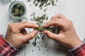 The tolerance factor, highlighted a 1993 study that looked at chronic cannabinoid administration in rats. Marijuana May Not Lower Your Iq Scientific American