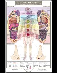 The Chakra System Foot Chart Balancing Touch Reflexology