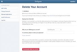 permanently delete insram account
