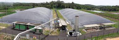 We are the worldwide leader in biogas plants! Fgv To Boost Returns From Renewable Energy Projects Fgv Holdings Berhad