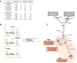 Regulatory Polymorphisms Modulate The Expression Of Hla