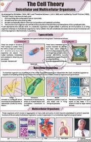 The Cell Theory For General Chart