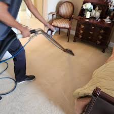 carpet cleaning in cooper city