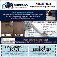stain removal certified buffalo