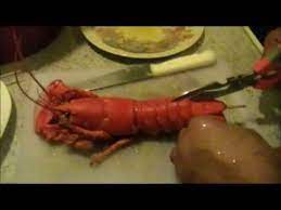 frozen lobsters how to cook and cut