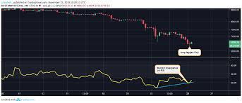 Bear Breather Bitcoin Looks Oversold After 50 Price Drop
