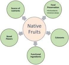 australian native fruits potential