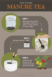 use manure as garden fertilizer