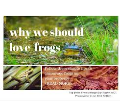 To learn how to gig for frogs and get your gig on, read on l bass pro shops. Why We Should Love Frogs And How To Encourage Them On Your Property Audubon International