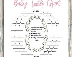 Printable Permanent Teeth Chart Www Bedowntowndaytona Com