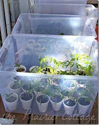 Container Gardening Mini Greenhouse