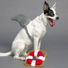 Great White Bark Bundle Dog Costumes Pet Store Pet Toys