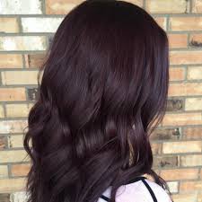 If you want to add more style and charm and get a sophisticated look for your black hair, you are in the right place. 50 Plum Hair Color Ideas That Will Make You Feel Special Hair Motive Hair Motive