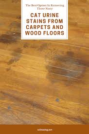 We redid our floors we went to classic hardwood floors that sale stain, poly and talk to them before hand. The Best Option In Removing Those Nasty Cat Urine Stains From Carpets And Wood Floors Xcleaning Net Your Cleaning Tips