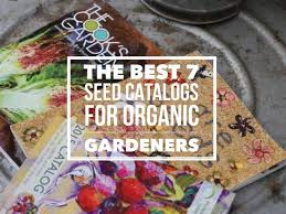 best seed companies for organic