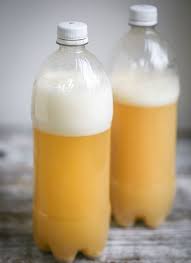 homemade ginger beer what should i