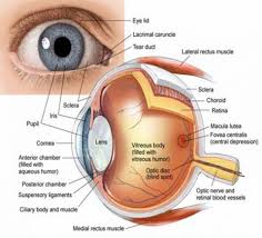 symptoms and treatment for uveitis