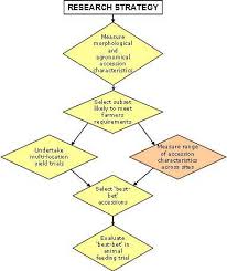     Research Method Case study is the study of the particularity and  complexity of a single case  building an understanding the internal and  related    