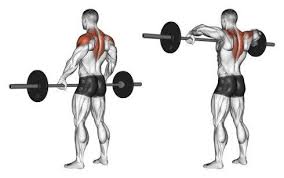shoulder workout for broad shoulders