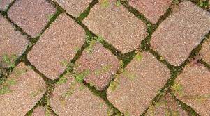 Remove Moss From Your Paver Patio