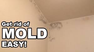how to get rid of mold in the bathroom