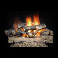 Heat Glo Fireside Versawood Gas Log