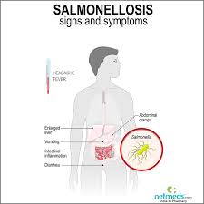Salmonella infection (salmonellosis) is a common bacterial disease that affects the intestinal tract. Salmonellosis Causes Symptoms And Treatment Netmeds