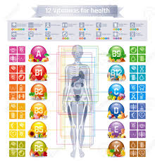 Mineral Vitamin Supplement Human Body Food Health Benefit