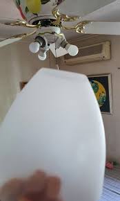 Light Cover For Ceiling Fans Furniture