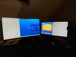 using citrix with multiple monitors