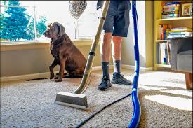 carpet cleaning thornton co home