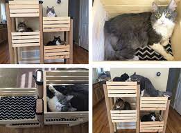 Briquedos para gatos acessorios para gatos moveis para gatos mobiliário para animais casa de animais casas para animais árvore para gato coisas de gato condomínio. Ideias Com Caixotes Para Gatos Joia De Casa