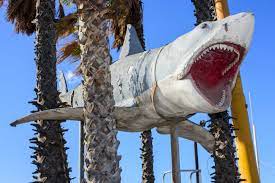 Les dents de la mer» : Bruce le requin entre au musée des Oscars | CNEWS