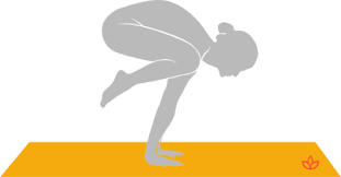 Yoga bakasana on pashchimottanasane pose. What Is Bakasana Definition From Yogapedia