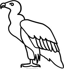 Some of the coloring page names are vulture, big size coloring coloring to and, gigglebiz colouring, vulture in the desert clip art at vector clip art online royalty public domain. Download Hd Vulture Coloring Page Ultra Vulture Line Icon Transparent Png Image Nicepng Com