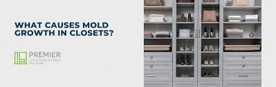 what causes mold growth in closets