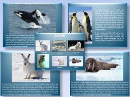 Egg free desert ppt : Arctic And Antarctic Animals Plants Interactive Powerpoint Presentation