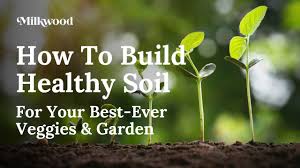 how to build healthy soil for your best