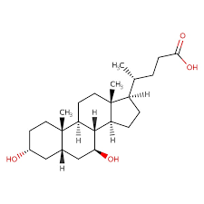 ursodiol ursodeoxycholic acid
