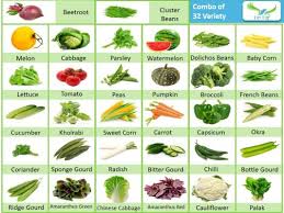 Buy Hybrid Vegetable Seeds