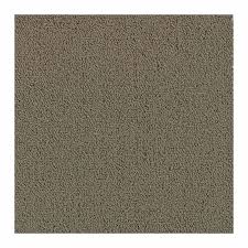 patcraft color choice taupe carpet