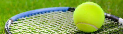 Our Useful Guide To The Wimbledon Championships London Toolkit