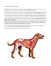 Acupressure Points Chart For Older Dogs Free Download