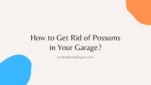 get rid of possums in your garage